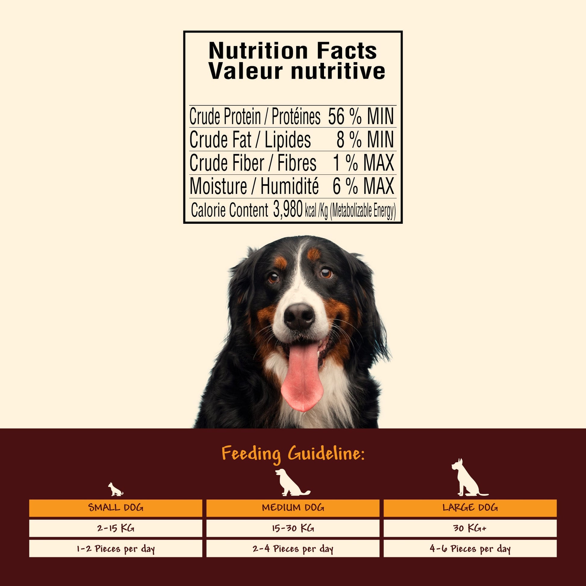 beautiful, happy dog with tongue out on a brown and beige background