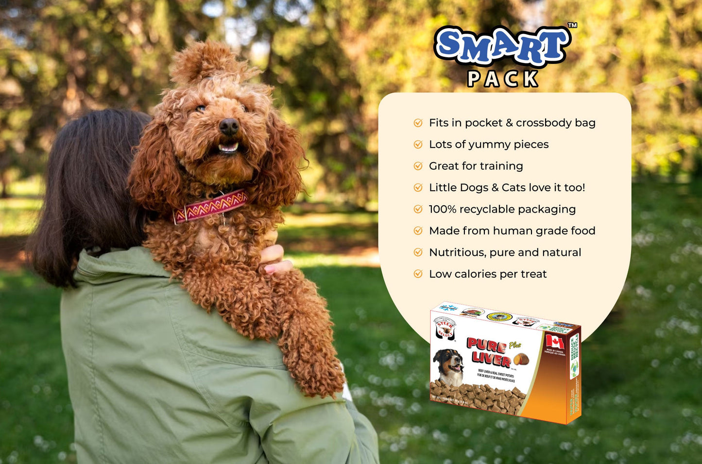 Adorable poodle at the park in nature with owner with a orange, brown and white box of dog treats on the side