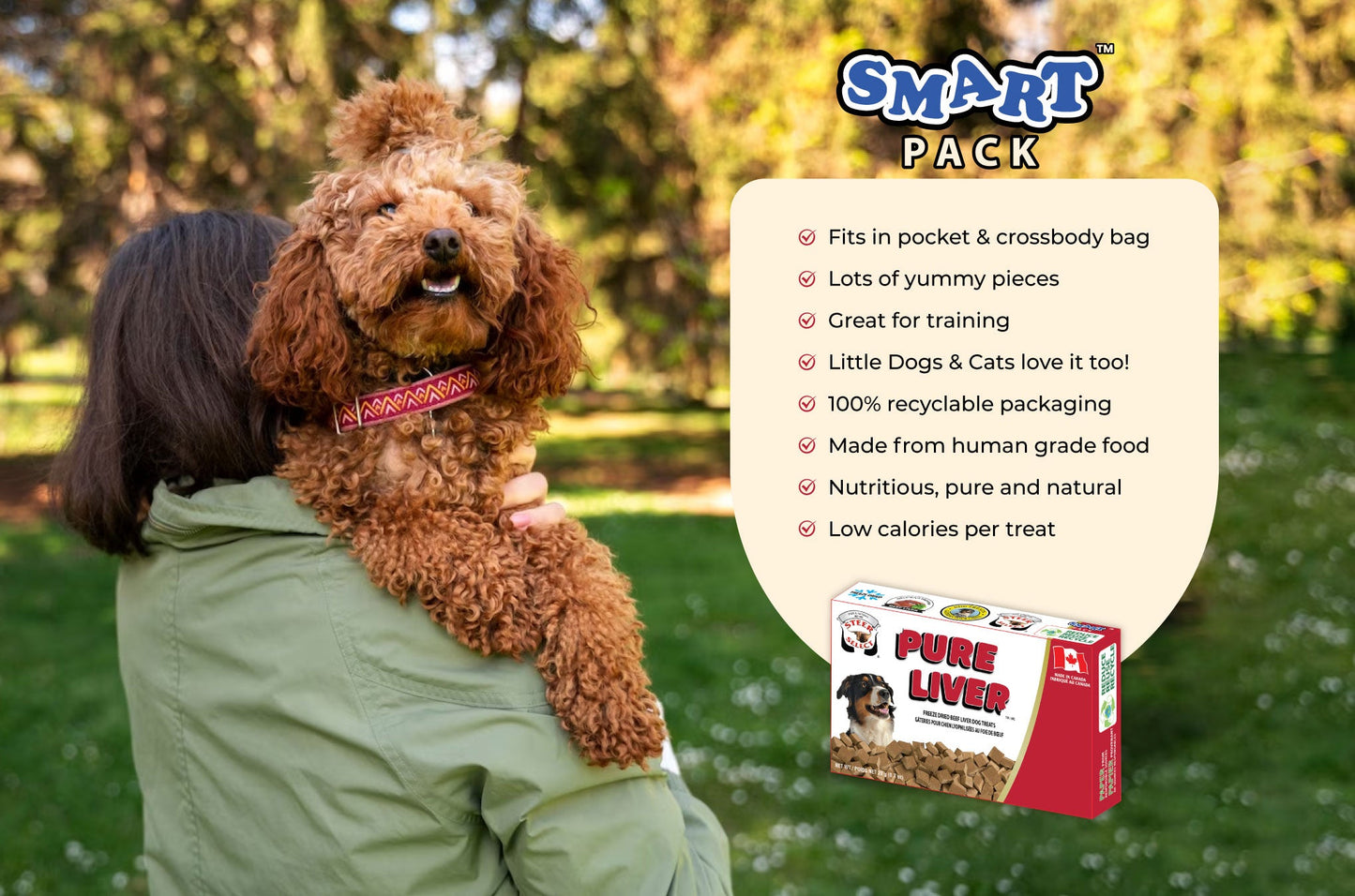 Adorable poodle at the park in nature with owner with a red and white box of dog treats on the side