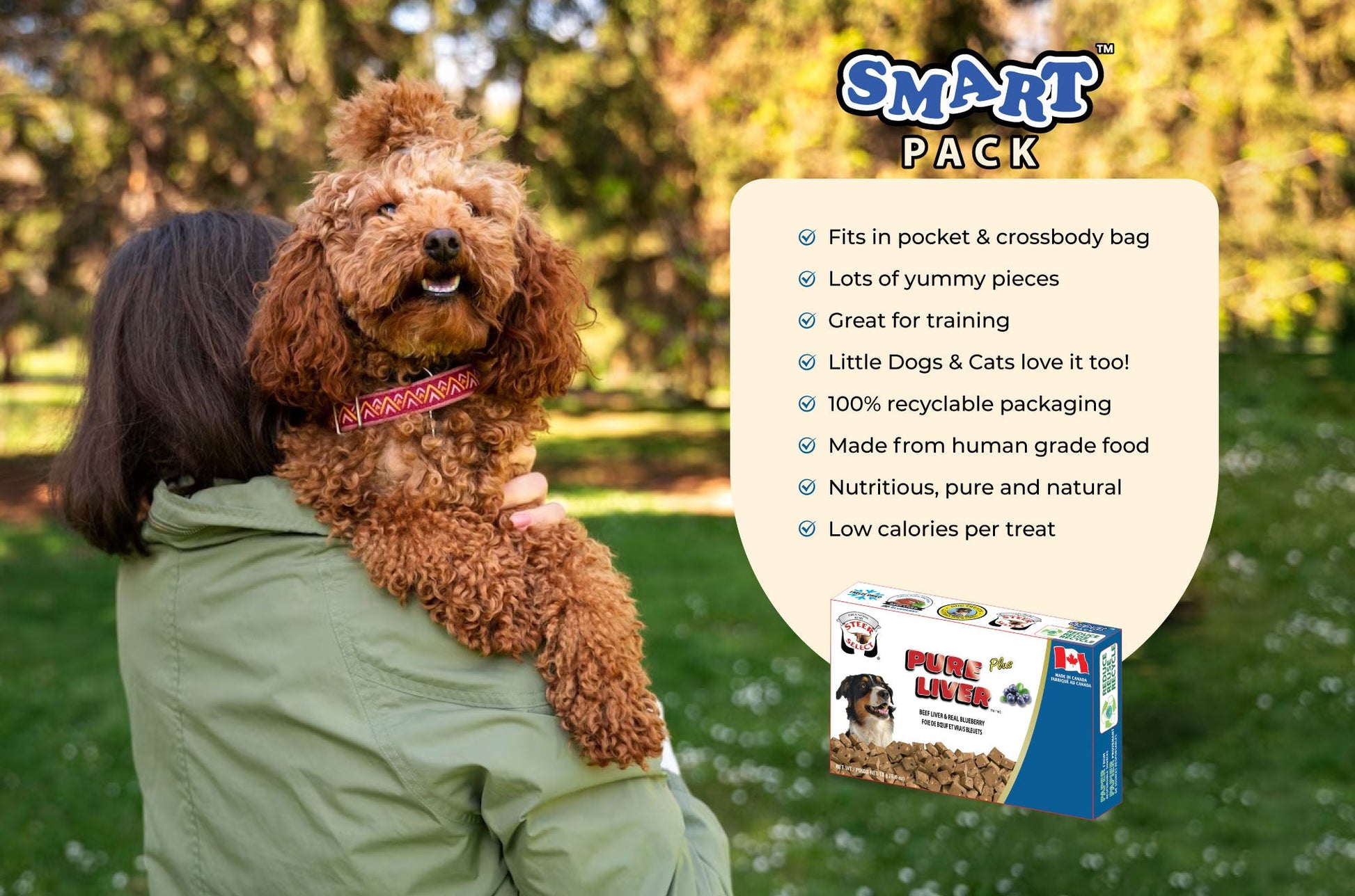 Adorable poodle at the park in nature with owner with a dark blue and white box of dog treats on the side