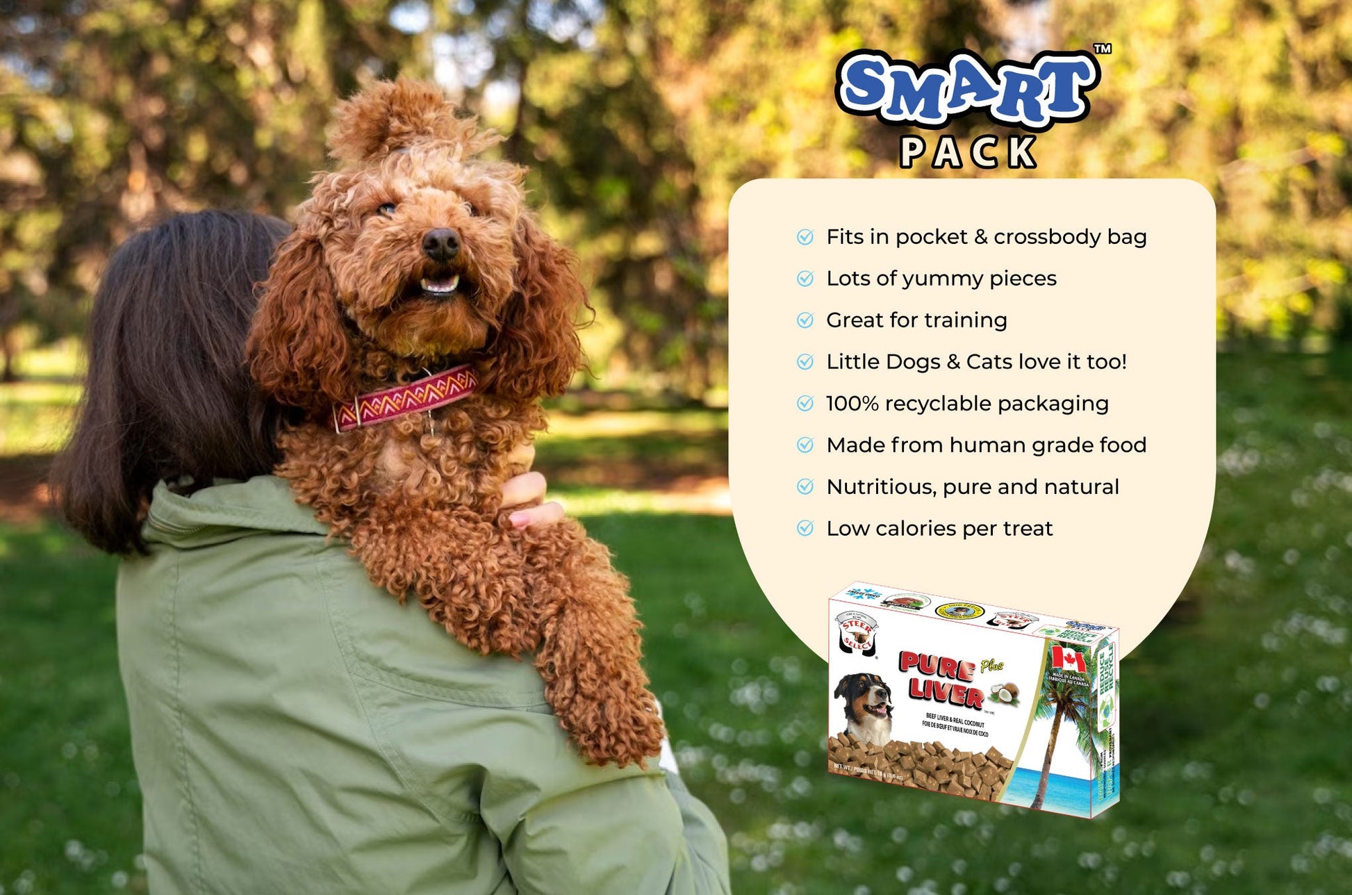 Adorable poodle at the park in nature with owner with a light blue and white box of dog treats on the side