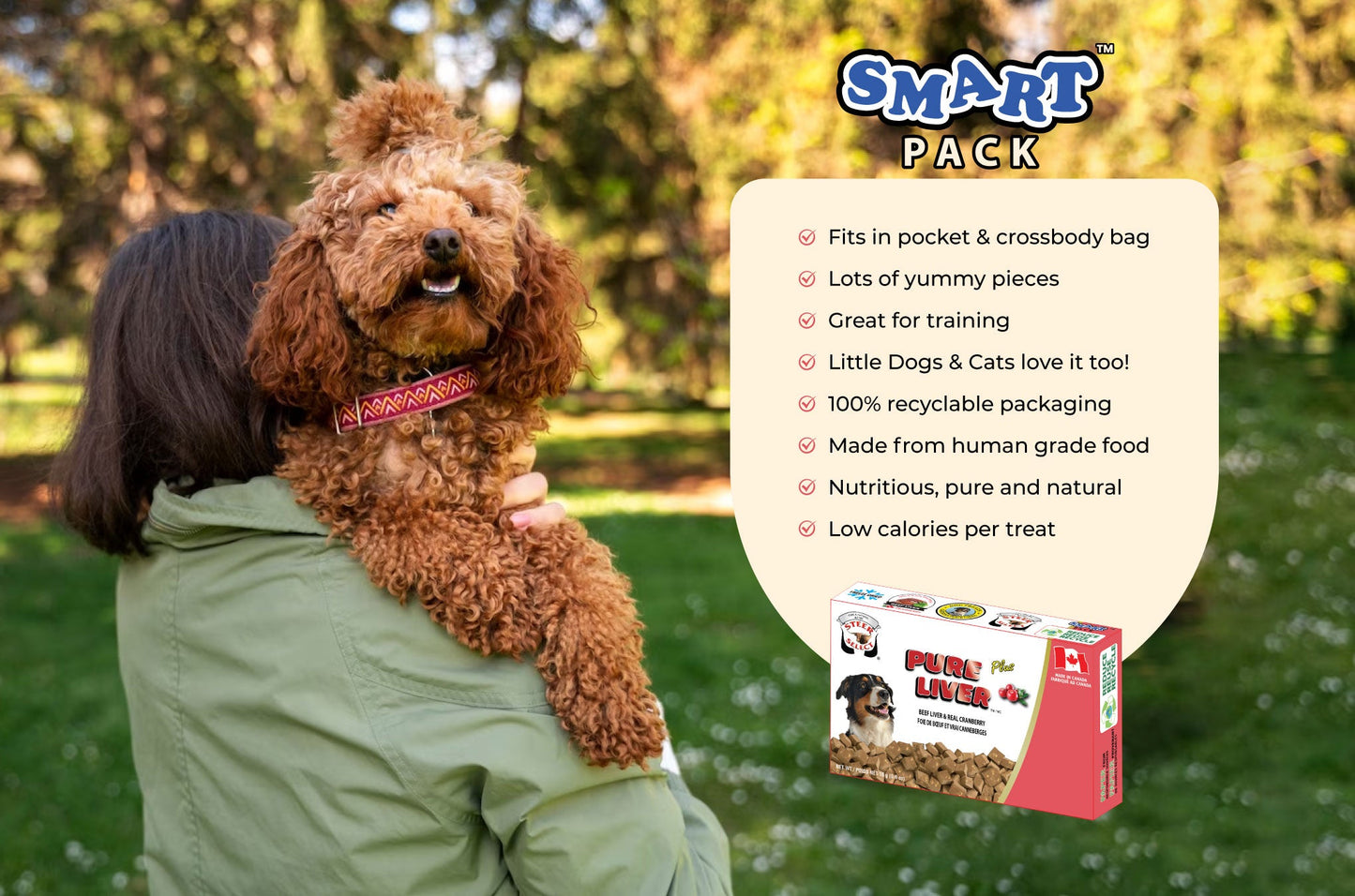 Adorable poodle at the park in nature with owner with a pink and white box of dog treats on the side